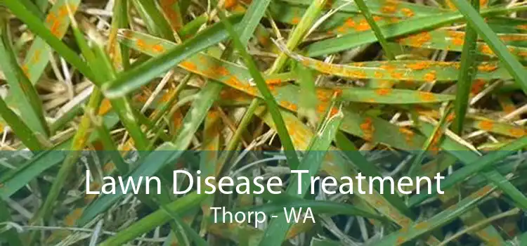 Lawn Disease Treatment Thorp - WA