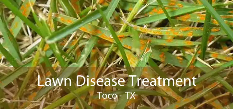 Lawn Disease Treatment Toco - TX