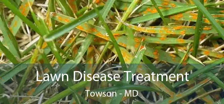 Lawn Disease Treatment Towson - MD