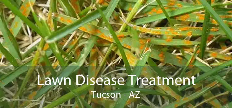 Lawn Disease Treatment Tucson - AZ
