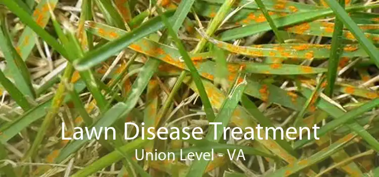 Lawn Disease Treatment Union Level - VA