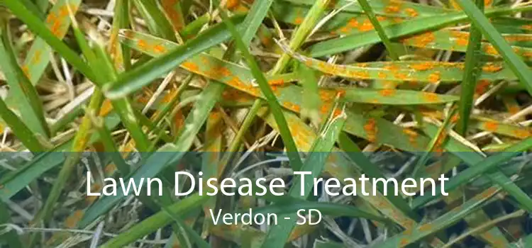 Lawn Disease Treatment Verdon - SD