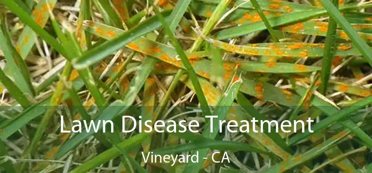 Lawn Disease Treatment Vineyard - CA