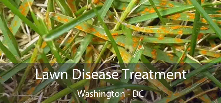  Lawn Disease Treatment Washington - DC