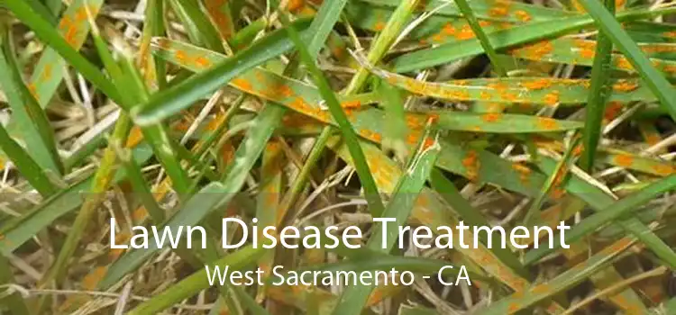 Lawn Disease Treatment West Sacramento - CA