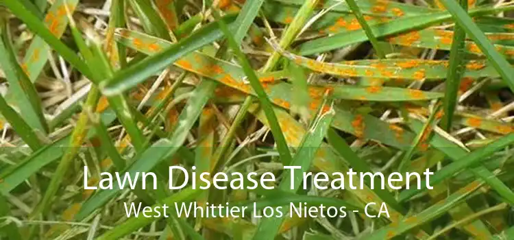 Lawn Disease Treatment West Whittier Los Nietos - CA