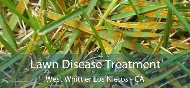 Lawn Disease Treatment West Whittier Los Nietos - CA