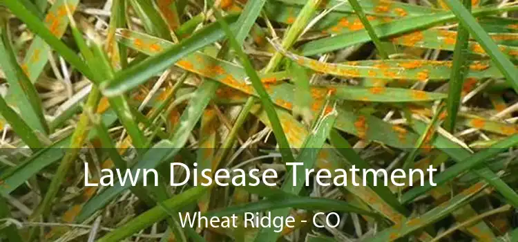 Lawn Disease Treatment Wheat Ridge - CO