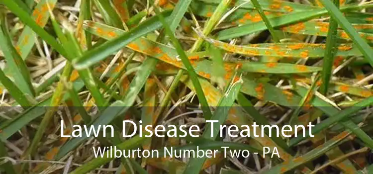 Lawn Disease Treatment Wilburton Number Two - PA