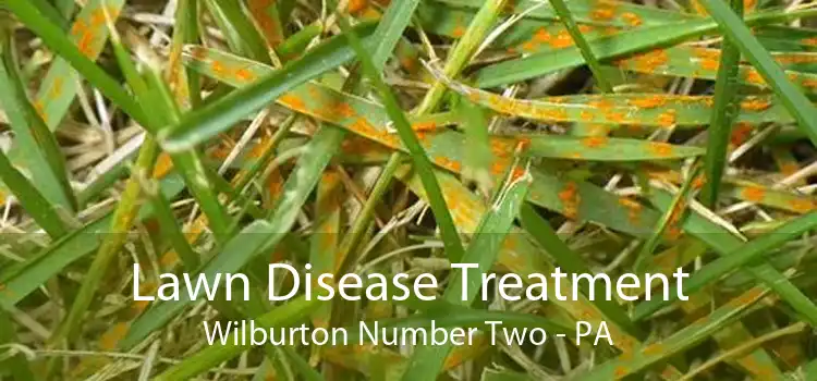 Lawn Disease Treatment Wilburton Number Two - PA