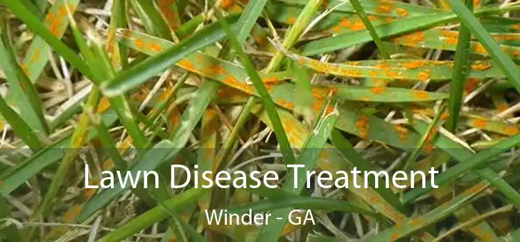 Lawn Disease Treatment Winder - GA