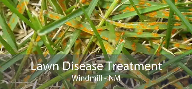  Lawn Disease Treatment Windmill - NM