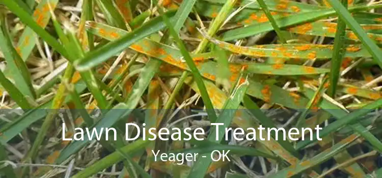 Lawn Disease Treatment Yeager - OK