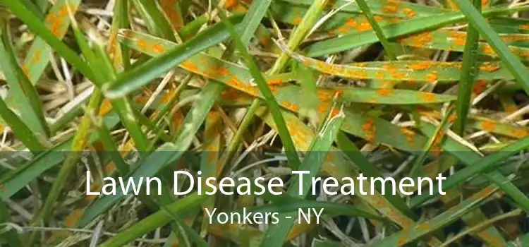 Lawn Disease Treatment Yonkers - NY
