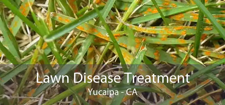 Lawn Disease Treatment Yucaipa - CA