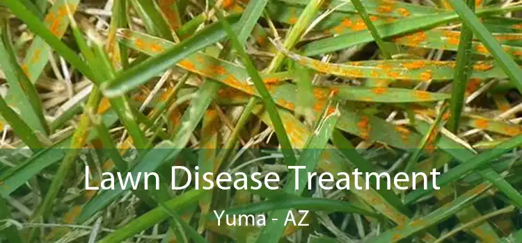  Lawn Disease Treatment Yuma - AZ