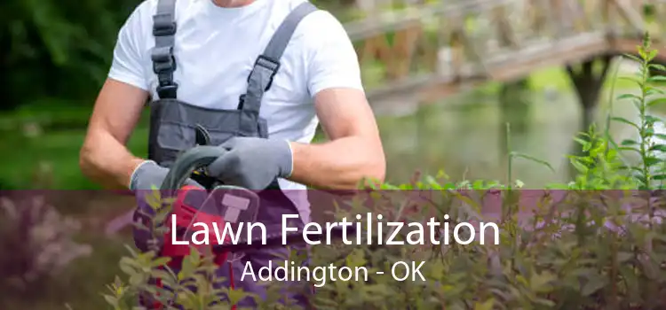 Lawn Fertilization Addington - OK