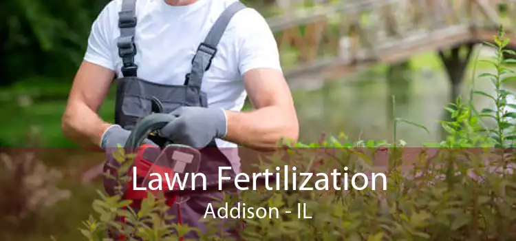 Lawn Fertilization Addison - IL