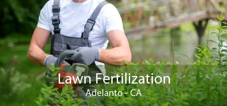 Lawn Fertilization Adelanto - CA