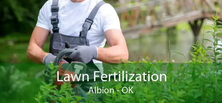 Lawn Fertilization Albion - OK