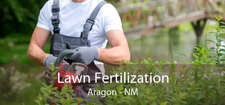 Lawn Fertilization Aragon - NM