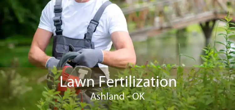 Lawn Fertilization Ashland - OK