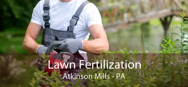Lawn Fertilization Atkinson Mills - PA