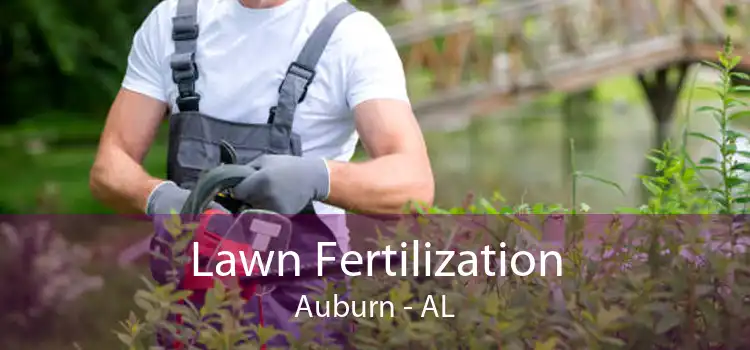 Lawn Fertilization Auburn - AL
