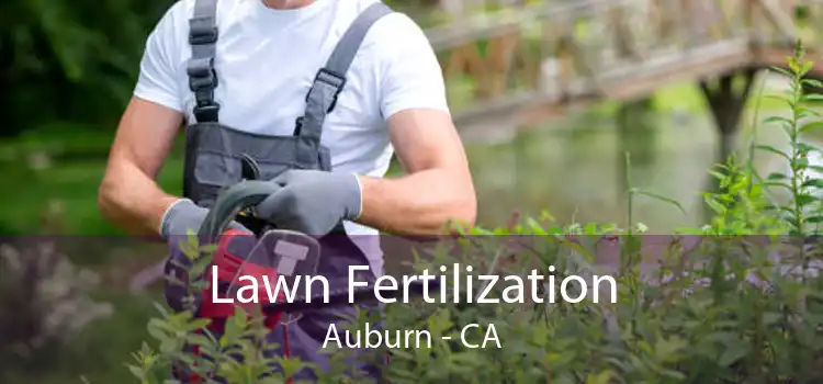 Lawn Fertilization Auburn - CA