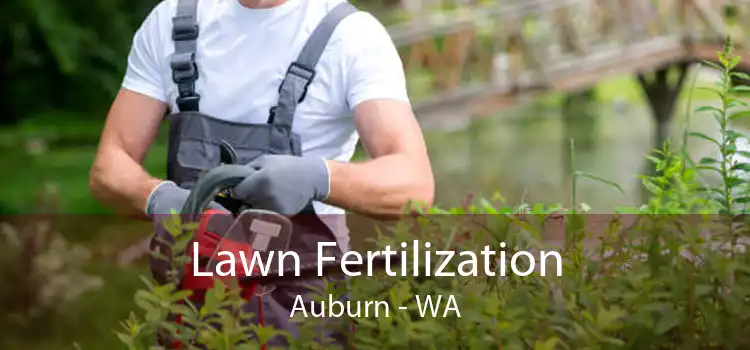  Lawn Fertilization Auburn - WA