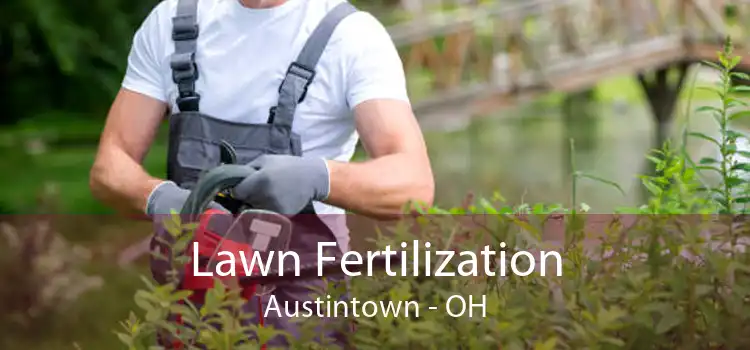Lawn Fertilization Austintown - OH