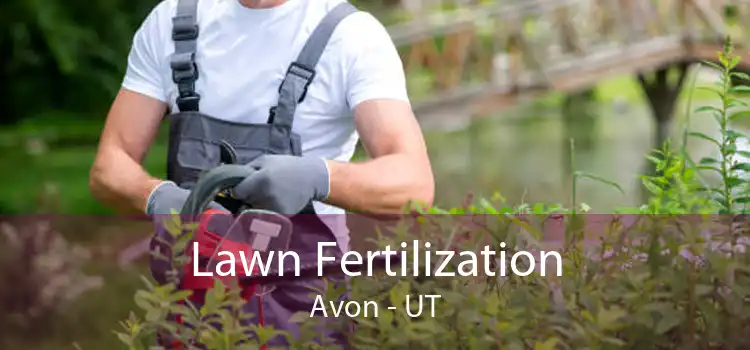 Lawn Fertilization Avon - UT
