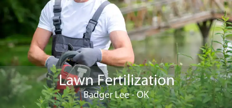 Lawn Fertilization Badger Lee - OK