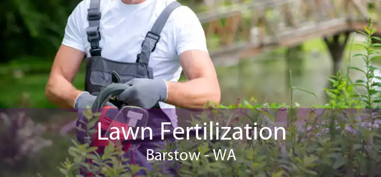 Lawn Fertilization Barstow - WA