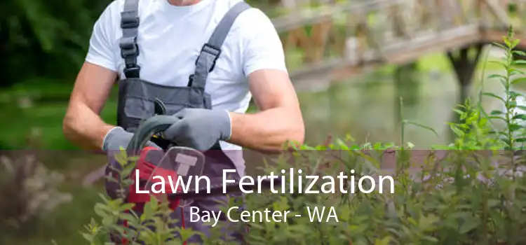 Lawn Fertilization Bay Center - WA