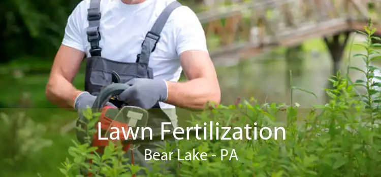 Lawn Fertilization Bear Lake - PA