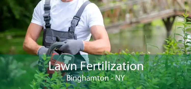 Lawn Fertilization Binghamton - NY