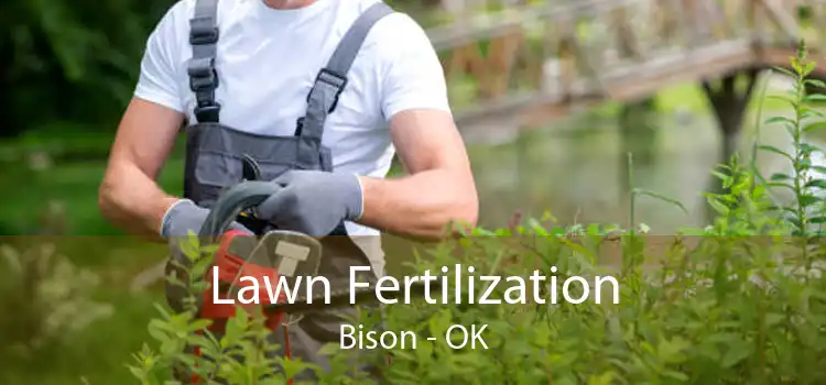 Lawn Fertilization Bison - OK