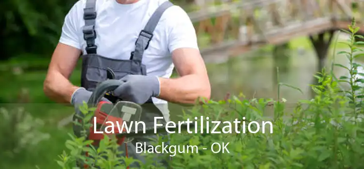 Lawn Fertilization Blackgum - OK