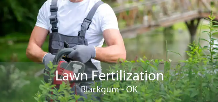 Lawn Fertilization Blackgum - OK