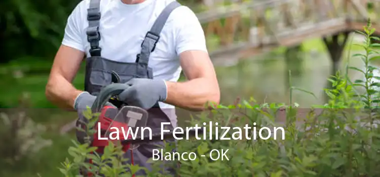 Lawn Fertilization Blanco - OK