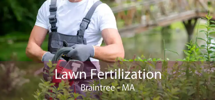 Lawn Fertilization Braintree - MA