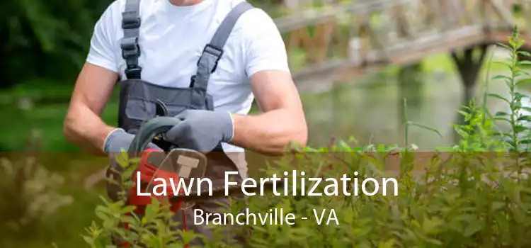 Lawn Fertilization Branchville - VA