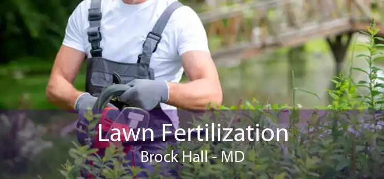 Lawn Fertilization Brock Hall - MD