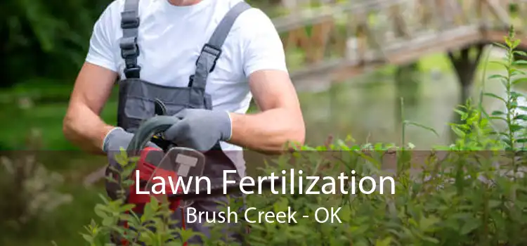  Lawn Fertilization Brush Creek - OK