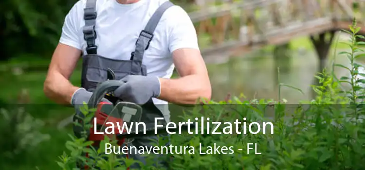 Lawn Fertilization Buenaventura Lakes - FL