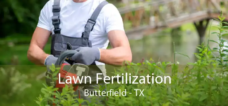 Lawn Fertilization Butterfield - TX