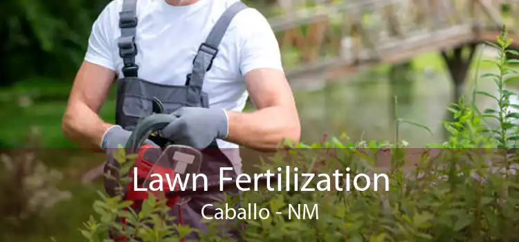 Lawn Fertilization Caballo - NM