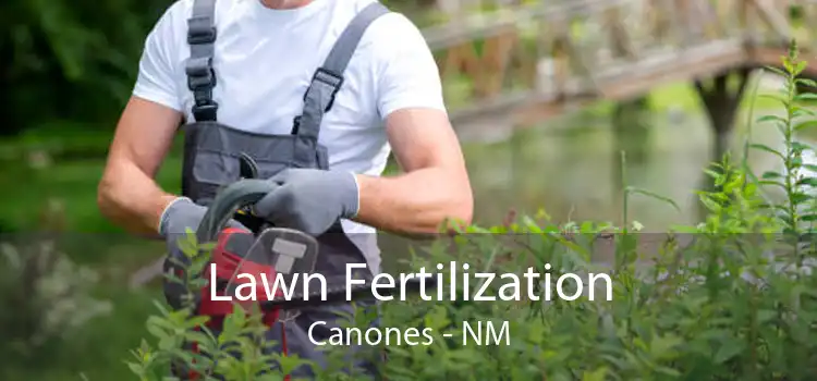 Lawn Fertilization Canones - NM