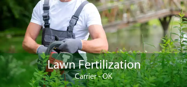 Lawn Fertilization Carrier - OK